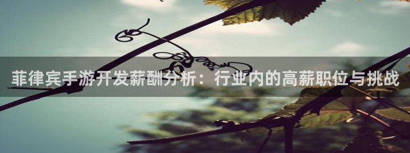 极悦娱乐手机版：菲律宾手游开发薪酬分析：行业内的高薪职位与挑