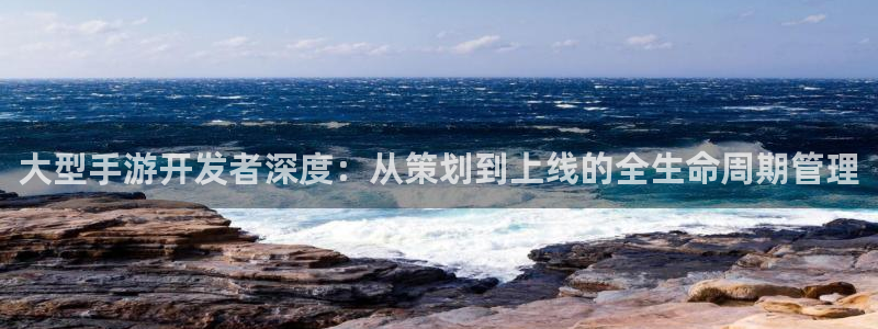 pc极悦娱乐下载安卓：大型手游开发者深度：从策划到上线的全生