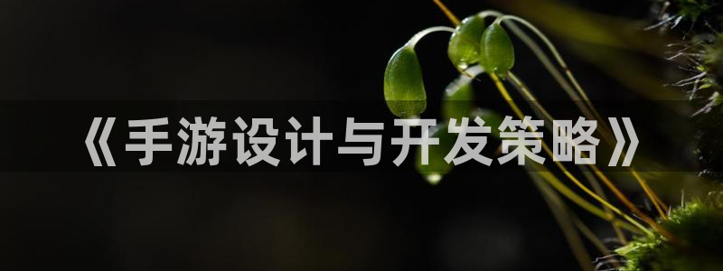 极悦娱乐手机版下载：《手游设计与开发策略》