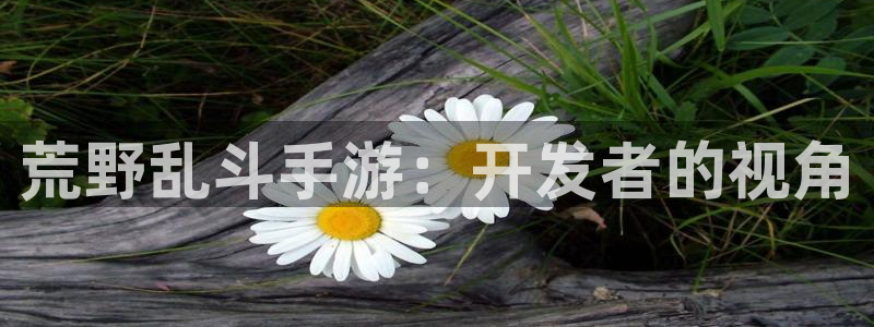 极悦娱乐下载：荒野乱斗手游：开发者的视角