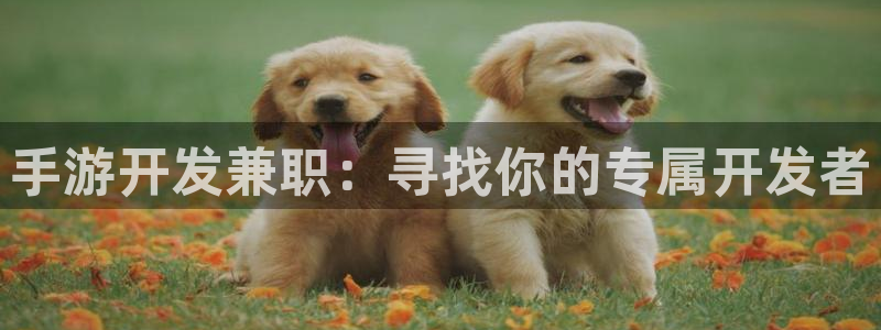 极悦娱乐开奖官网查询：手游开发兼职：寻找你的专属开发者
