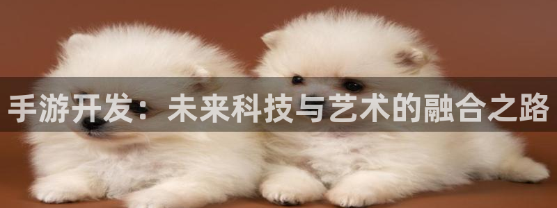 极悦娱乐开奖官网下载：手游开发：未来科技与艺术的融合之路