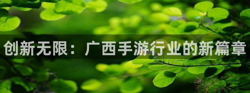 极悦娱乐加拿大在线开奖：创新无限：广西手游行业的新篇章