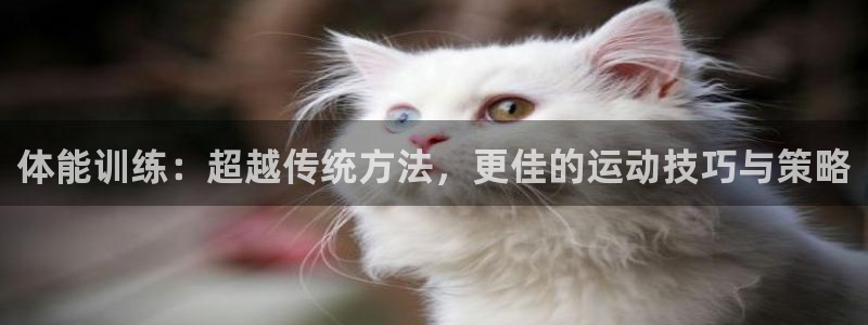 bbin视讯游戏官网