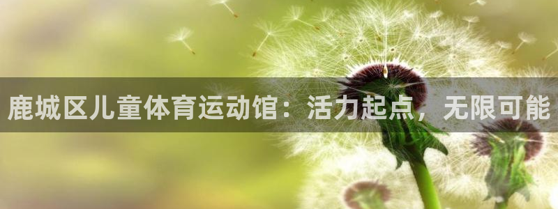 bbin视讯游戏平台