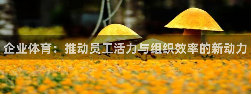 bbin视讯下