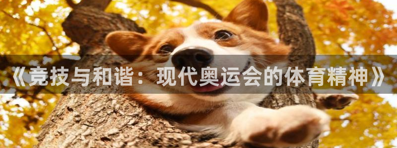 bbin视讯