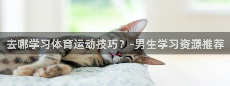 bbin视讯