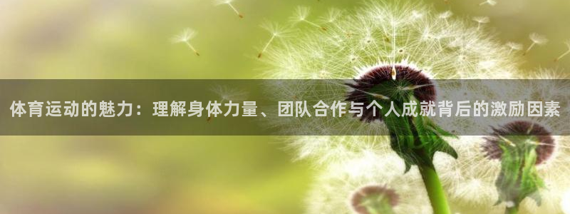 bbin视讯下