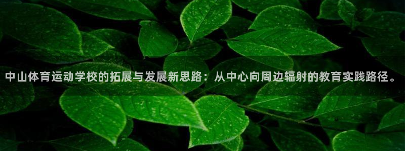 bbin视讯