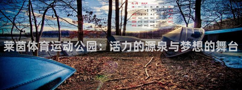 bbin视讯游戏平台
