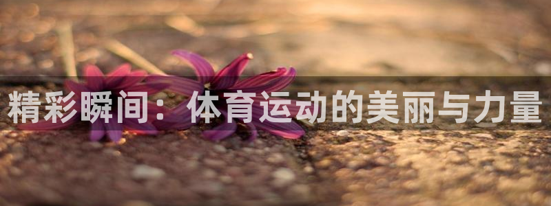 bbin视讯