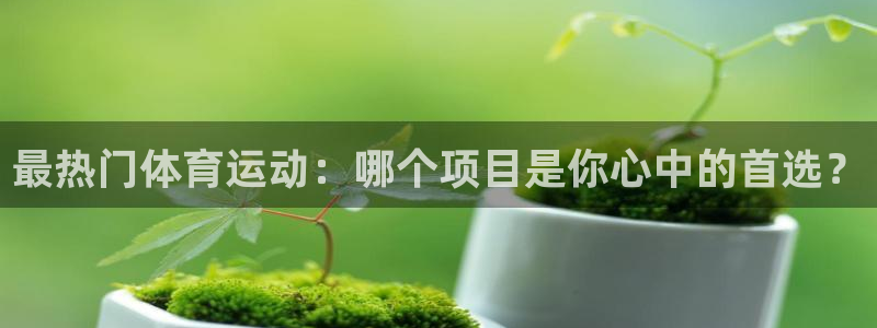 bbin视讯下