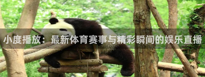 bbin视讯游戏平台