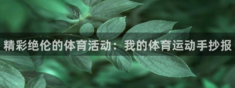 bbin视讯下